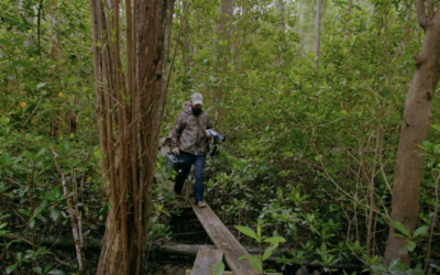 ECU, CSI faculty member appears in new environmental film